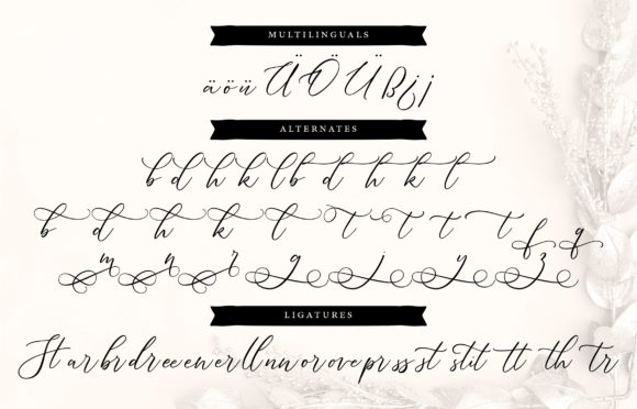 Dellaine Font PNG with transparent background - Preview 5