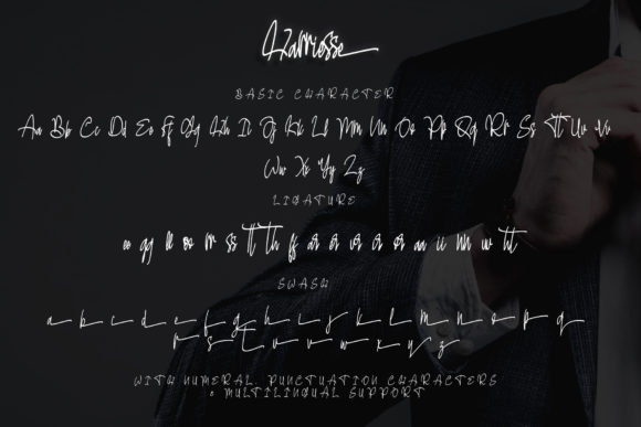 Harriesse Font - Preview 4