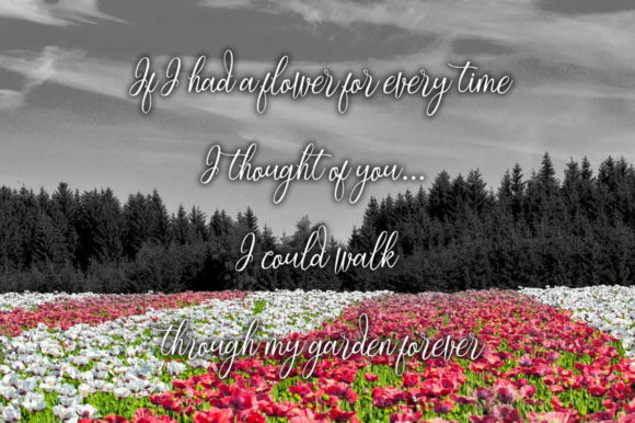 Manjha Font font preview - 2