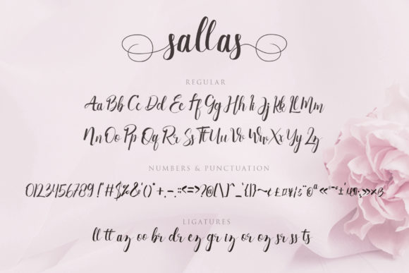 Sallas Font PNG with transparent background - Preview 6