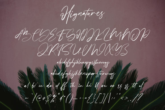 Hignatures Font PNG with transparent background - Preview 6