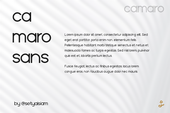 Camaro Font - Preview 2