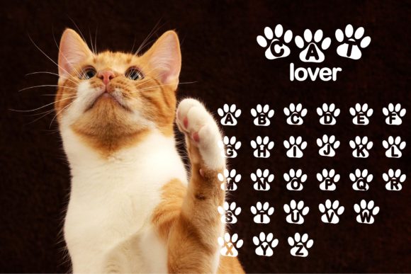 Cat Lover Font - Preview 1