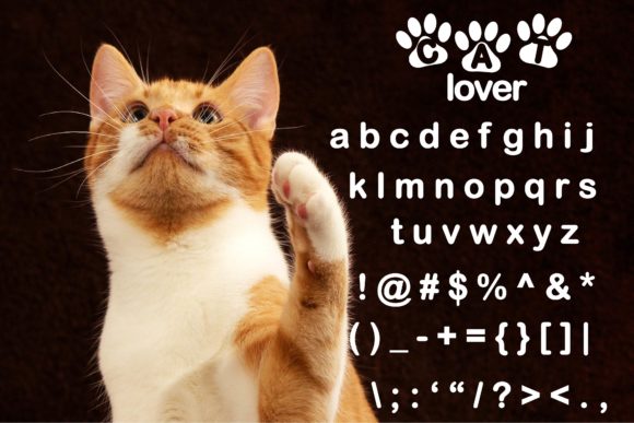 Cat Lover Font - Preview 2
