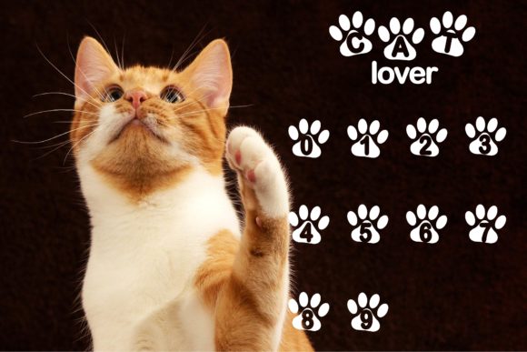 Cat Lover Font - Preview 3