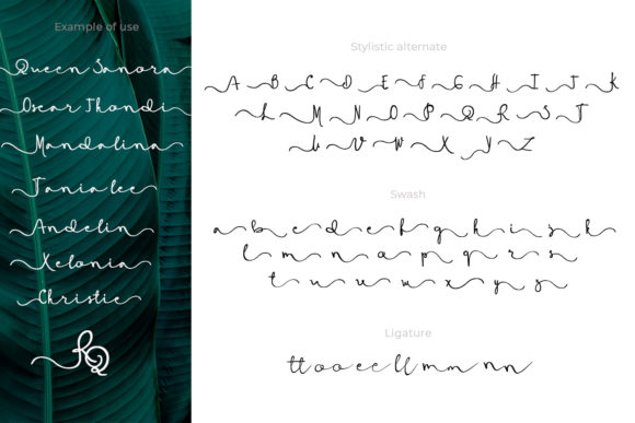 Deanisa Font - Preview 6