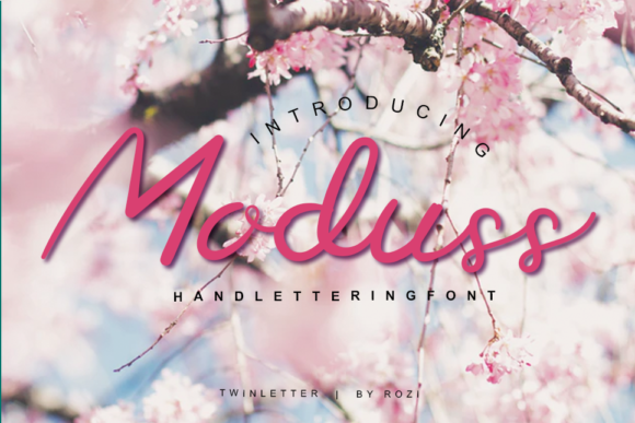 Moduss Font font preview - 1
