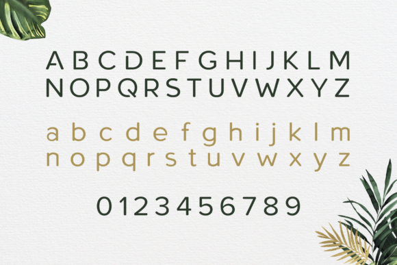 Roundor Font PNG with transparent background - Preview 1