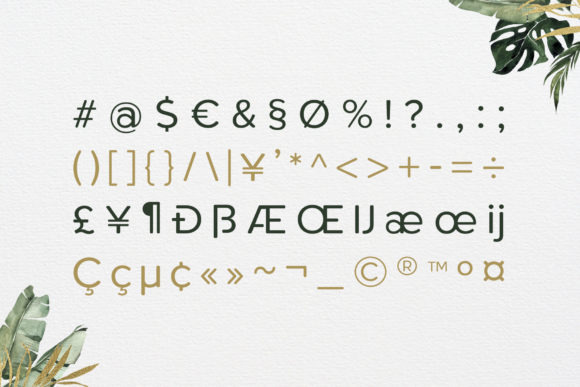 Roundor Font PNG with transparent background - Preview 2