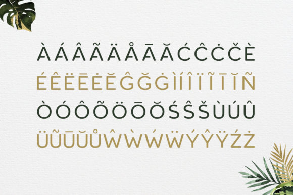 Roundor Font PNG with transparent background - Preview 3