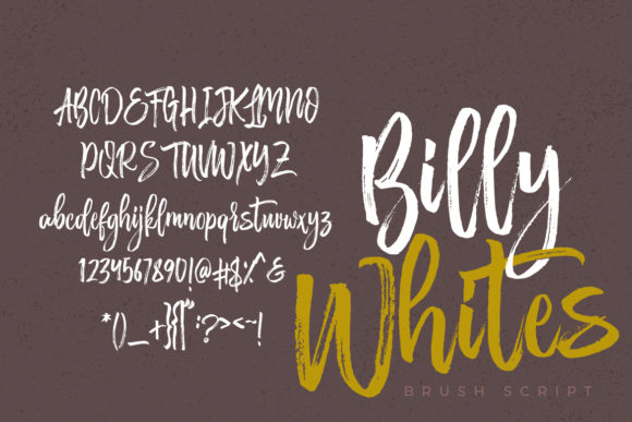 Billy Whites Font - Preview 1