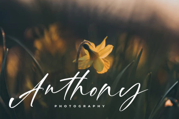 Gilliany Font - Preview 2