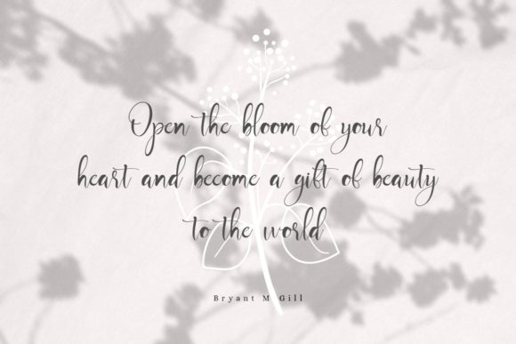 Mayla Font PNG with transparent background - Preview 5