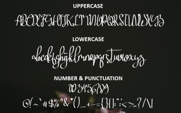 Beish Smile Font - Preview 4