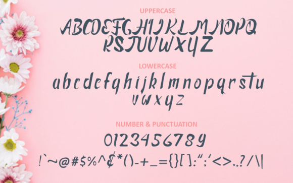 Financialy Font - Preview 2