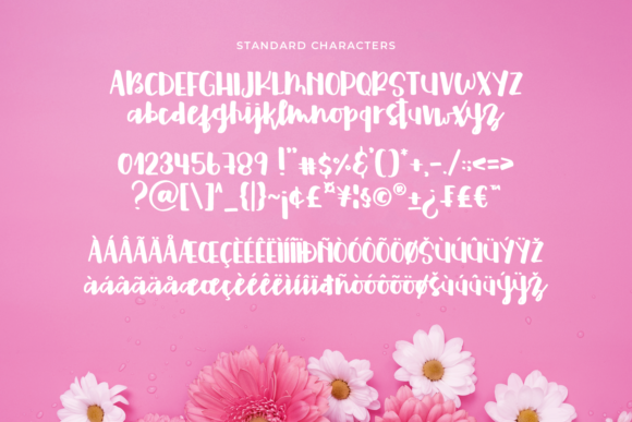 Fostella Font - Preview 5