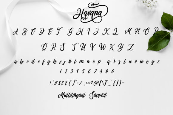 Havana Font - Preview 5