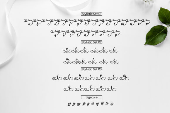 Havana Font - Preview 6