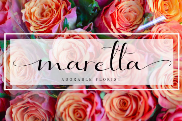 Selitta Font font preview - 4