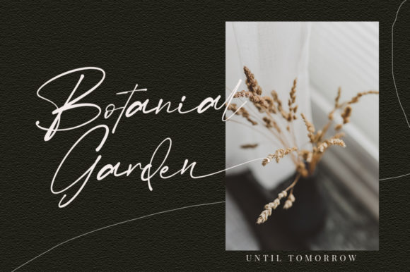 Betmo Font - Preview 4