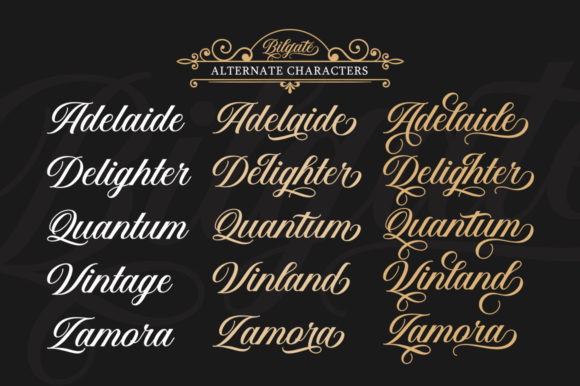 Bilgate Font - Preview 4