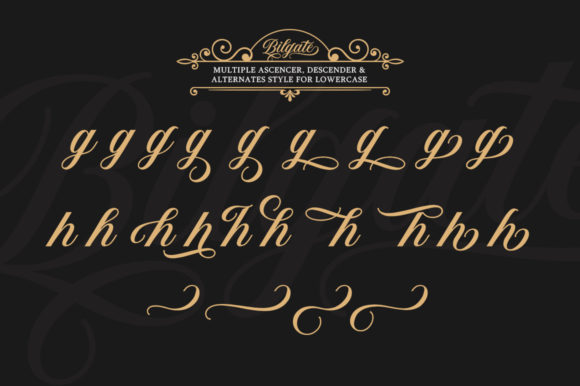 Bilgate Font - Preview 6