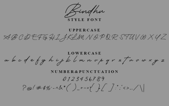 Bindhu Font - Preview 2