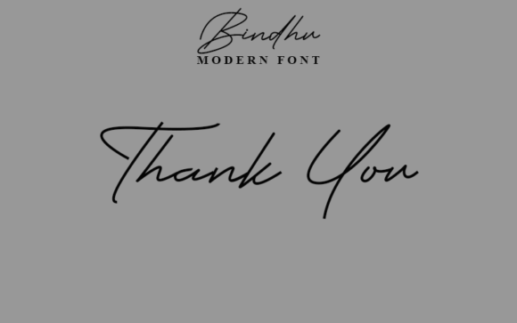Bindhu Font - Preview 4