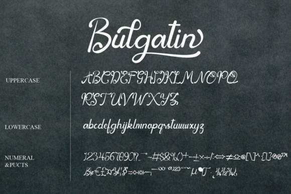 Bulgatin Font - Preview 5