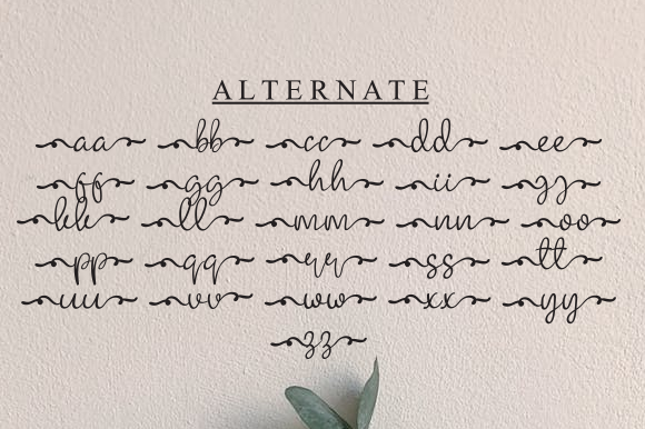 Gorila Woy Font - Preview 3