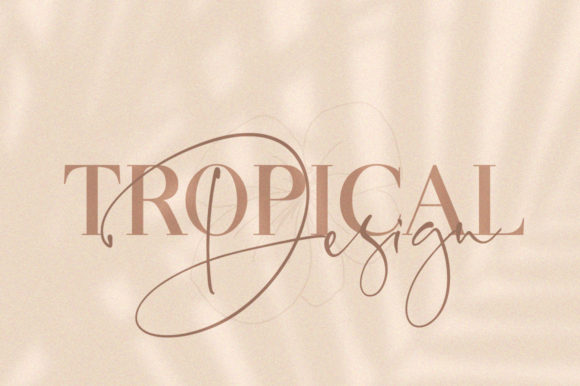 Oliva Font PNG with transparent background - Preview 1
