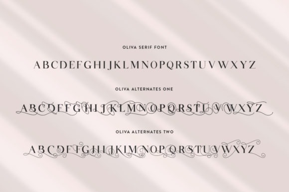 Oliva Font PNG with transparent background - Preview 6