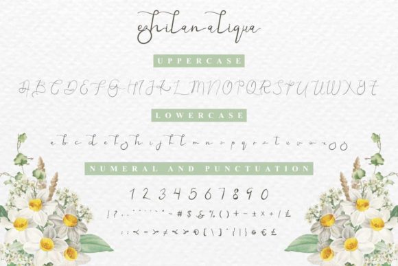 Ezhilan Aliqua Font - Preview 4
