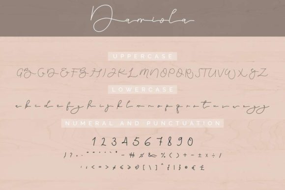 Damiola Font - Preview 4