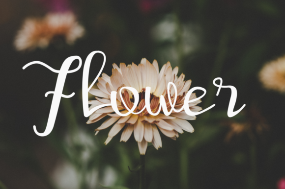 Shurtiey Font PNG with transparent background - Preview 1