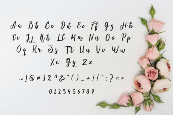 Abelia White Font - Preview 3