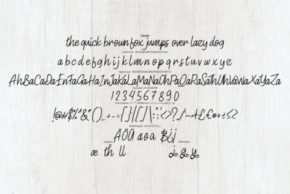 Acusted Font - Preview 5