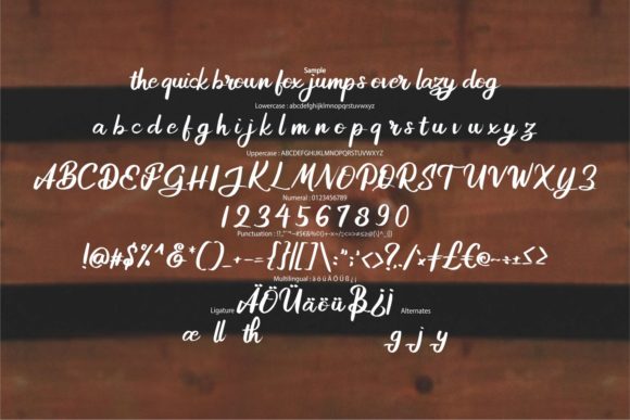 Adisone Font - Preview 5