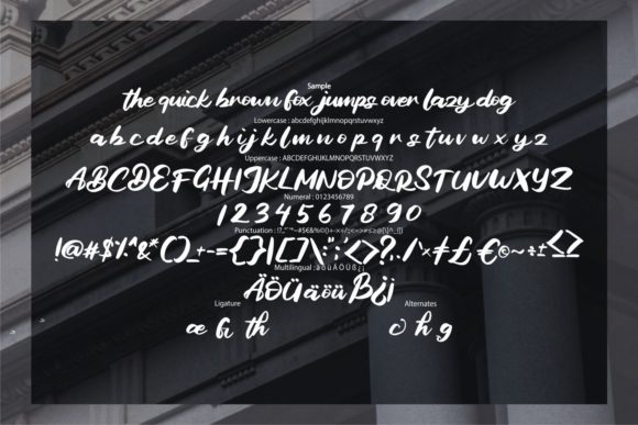 Bagide Font - Preview 5
