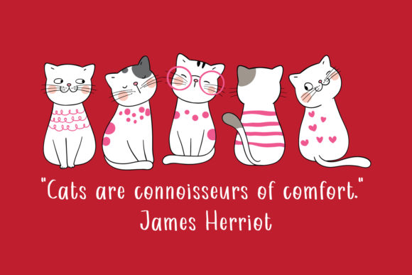 Beau Chat Font - Preview 1