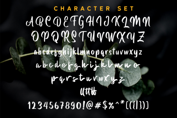Buttoni Font - Preview 2