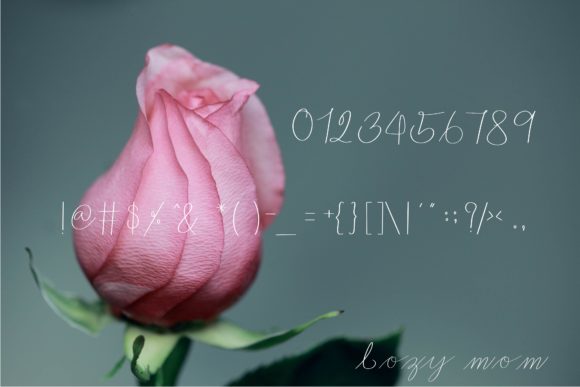 Cozy Mom Font - Preview 2