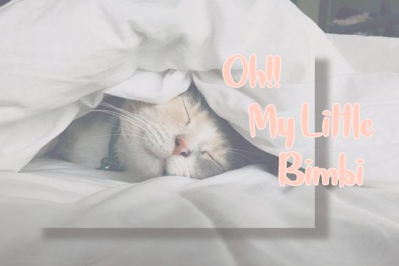 Jena & Gula Font PNG with transparent background - Preview 3