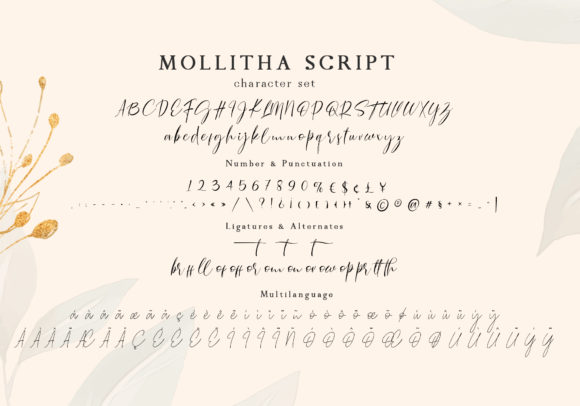 Mollitha Font PNG with transparent background - Preview 5