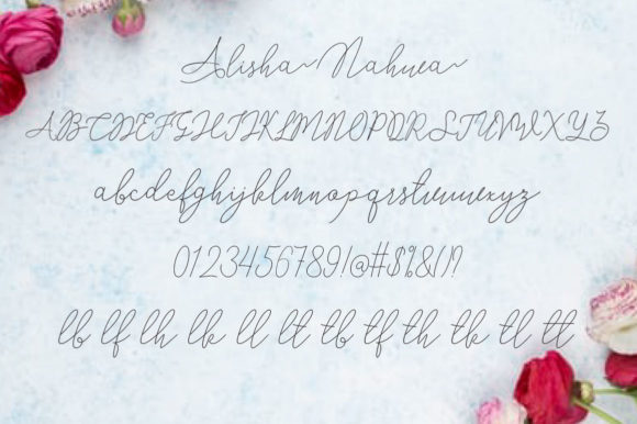 Alisha Nahwa Font - Preview 2