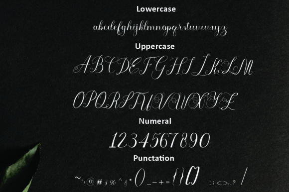 Qontagen Font PNG with transparent background - Preview 3