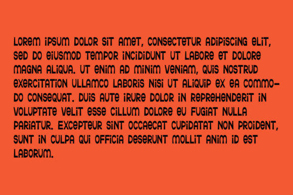 Ferguso Font - Preview 4