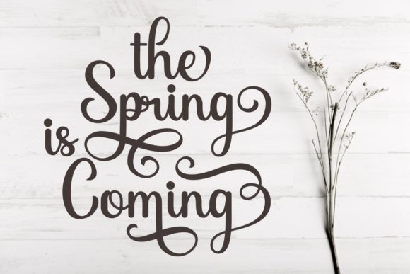 Abigile Font - Preview 3