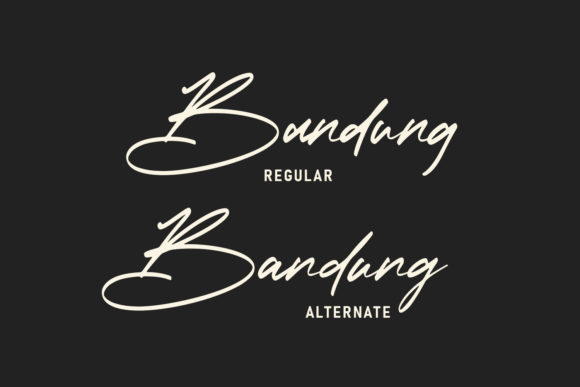 Bandung Signature Font - Preview 1