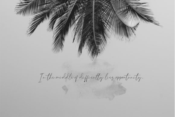 Birdsong Font - Preview 2